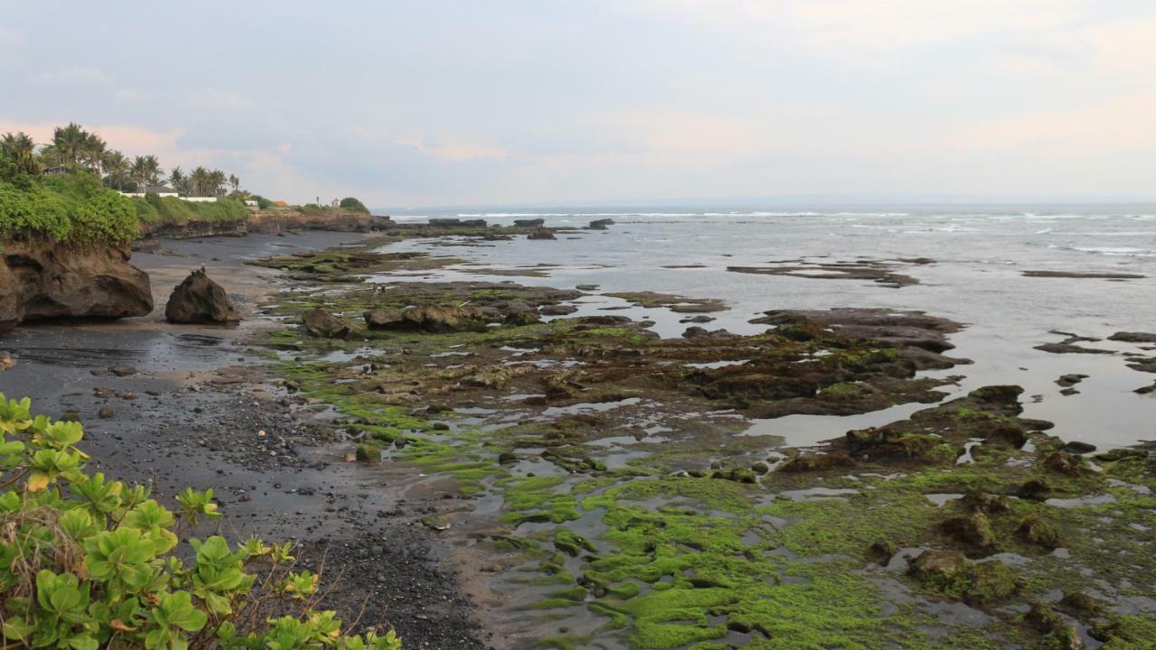 Villa Padi Canggu Exterior foto